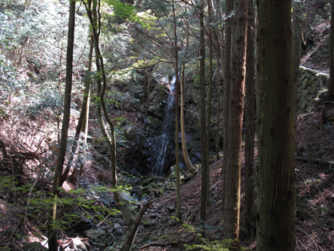 20140419hike (54)